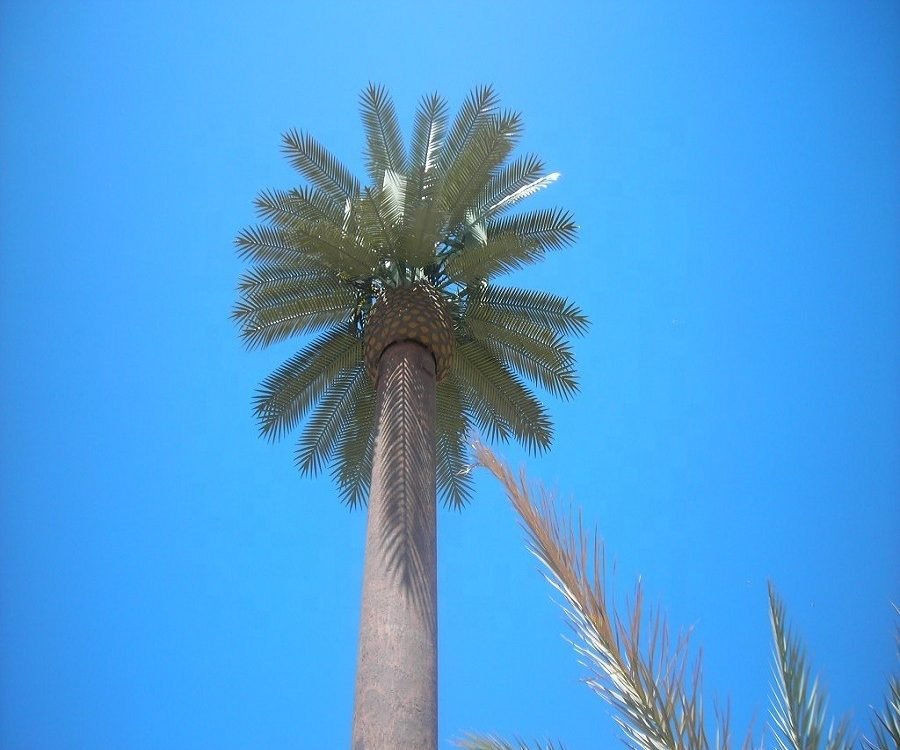 Camouflage-Palm-Tree-Antenna-Microwave-Tower-900x750